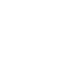 EXPERT CHOICE